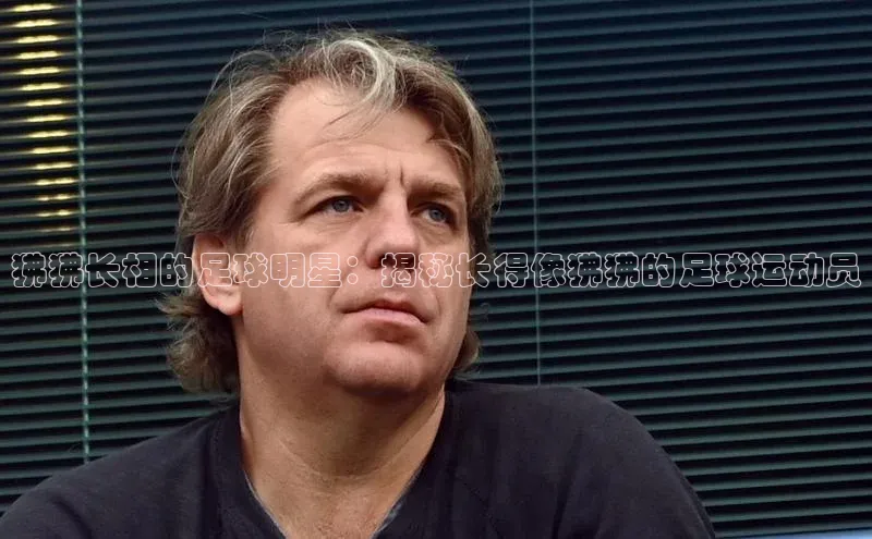 长征平台官网宇信科技狒狒长相的足球明星：揭秘长得像狒狒的足球运动员