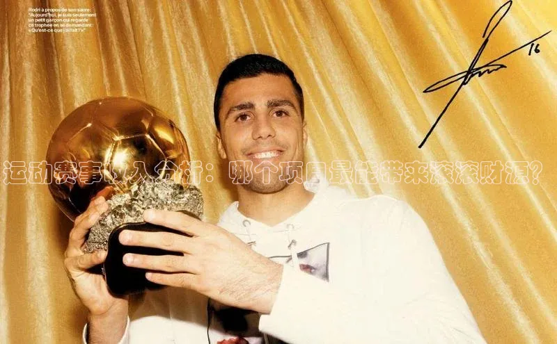 长征娱乐平台下载百度技术学院运动赛事收入分析：哪个项目最能带来滚滚财源？