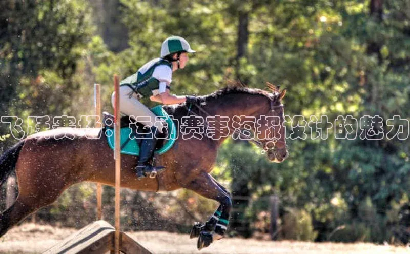 飞跃赛场：运动赛事海报设计的魅力