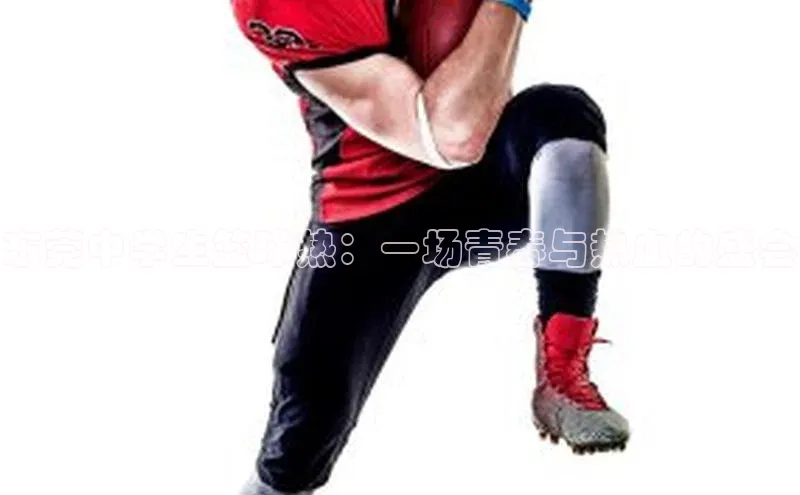 东莞中学生篮球热：一场青春与热血的盛会