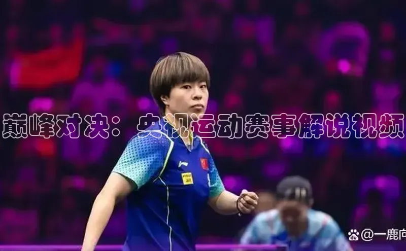 巅峰对决：央视运动赛事解说视频