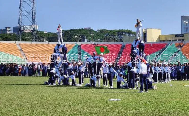 创新的运动赛事布局：高效承办模式与策略