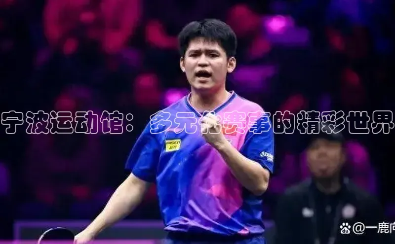 宁波运动馆：多元化赛事的精彩世界