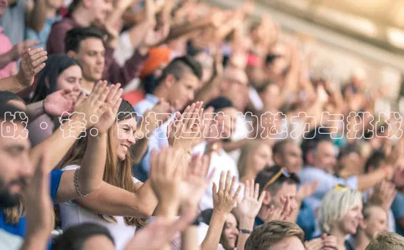 战·锋：散打运动的魅力与挑战