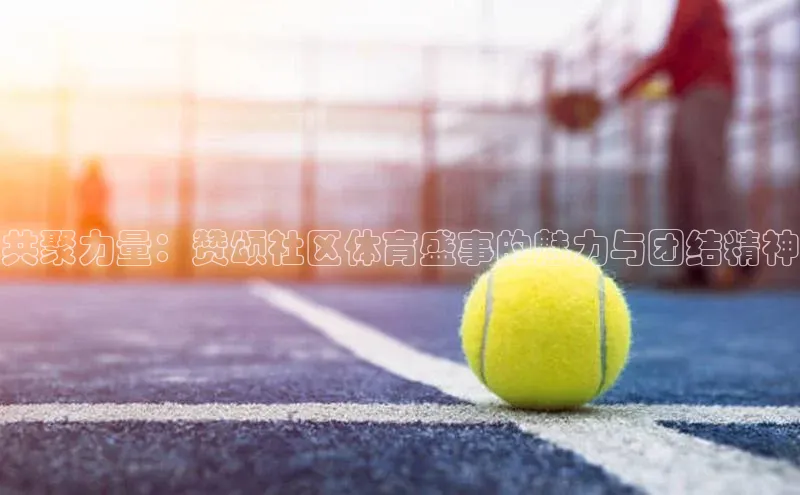 共聚力量：赞颂社区体育盛事的魅力与团结精神
