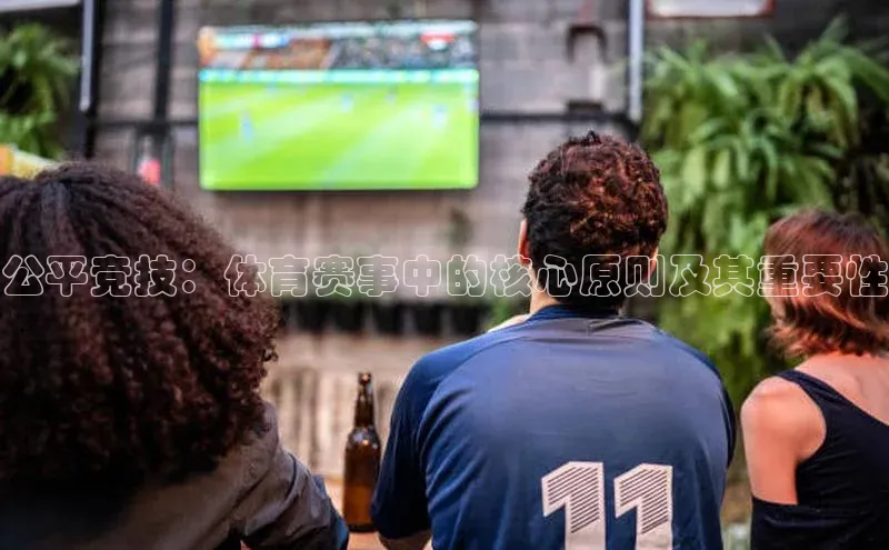 公平竞技：体育赛事中的核心原则及其重要性