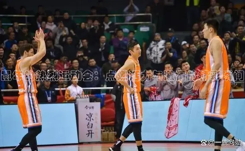 鼠年的热烈运动会：点燃活力与激情的精彩瞬间