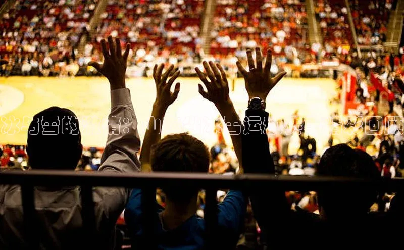 冰与雪的激情：山东省冰雪运动赛事精彩回顾