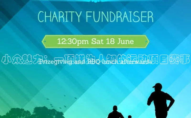 小众魅力：一项鲜为人知的运动项目赛事