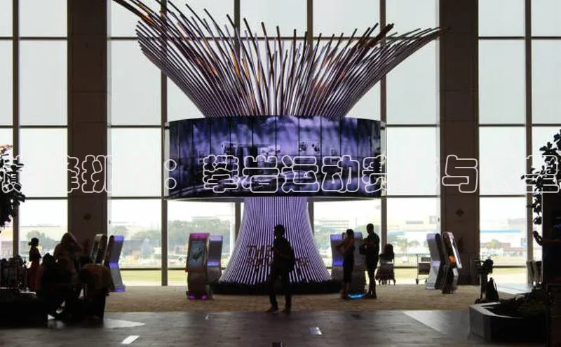 巅峰挑战：攀岩运动赛事与展望