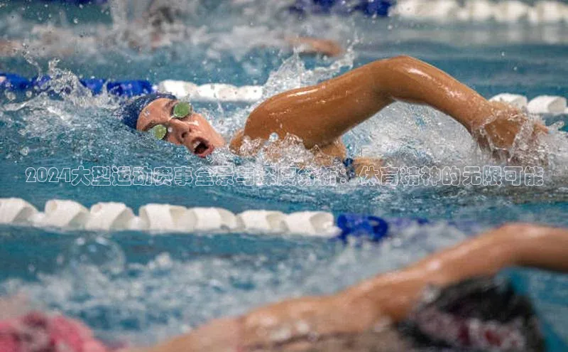 2024大型运动赛事全景与深度分析：体育精神的无限可能